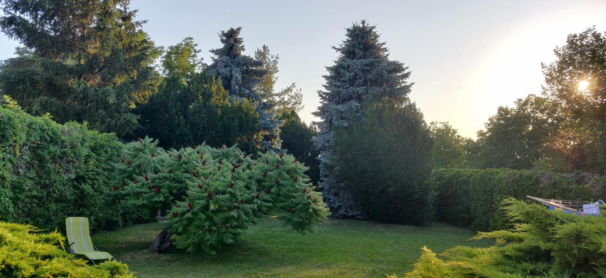 Bed and Breakfast Korona Étterem Panzió Balatonberény Esterno foto