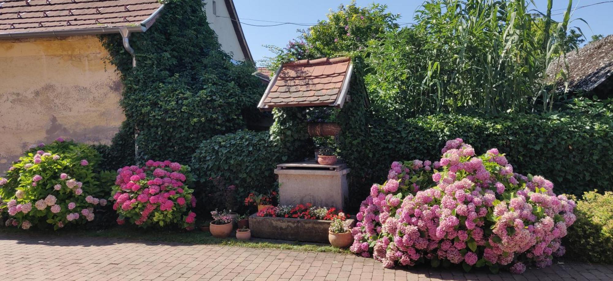 Bed and Breakfast Korona Étterem Panzió Balatonberény Esterno foto